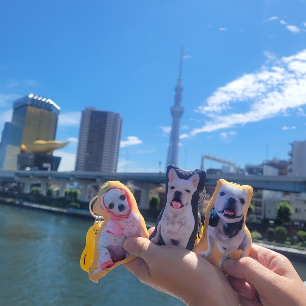 和狗狗一起去旅行